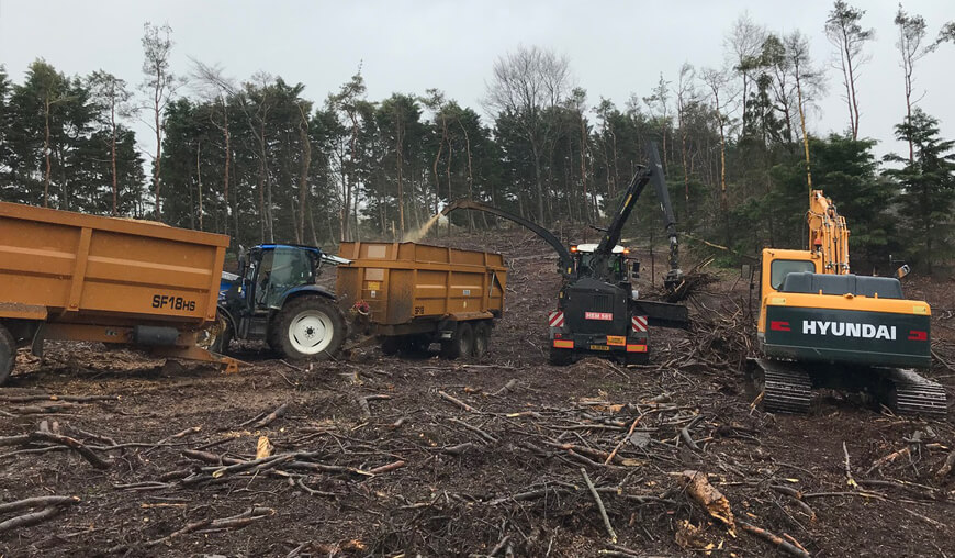 Clearing brushwood at Ballington for wood chip to a Kent power station